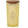 Chesapeake Bay Candles, Bougie parfumée, Ananas Noix de Coco