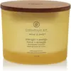 Chesapeake Bay Candles, Bougie parfumée, Ananas Noix de Coco