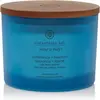 Chesapeake Bay Candles, Bougie parfumée, Mousse de Chêne