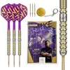 Target Luke Littler G1 Prodigy Swiss Point 90% - Dartpijlen
