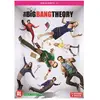 Warner Bros. The Big Bang Theory Saison 11 DVD