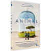 Ugc Video Animal DVD