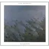 Village Green Wanderer remixes