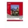 Canon Photo Paper Plus SG-201 - papier photo - 10 feuille(s)