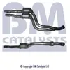 BM Catalysts Katalysator