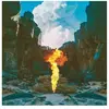 FAMILY Migration Vinyle 180 gr