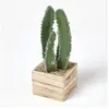 Cactus cierge artificiel en pot carré en bois mdf 33 cm - Homescapes