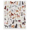 Abrams & Chronicle 85768 - Dog Lover's - Puzzle, 1000 pièces (1000 piè...