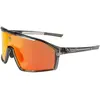 Endura Lunettes Gabbro II pour homme, gris, taille unique