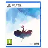 Premium Gris PS5