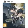 Wuthering Waves - Deluxe Collection PS5