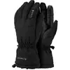 Gants Trekmates Chamonix GTX Noir M