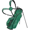 Mizuno BR-D3S Standbag 2024 - Groen