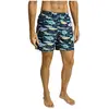 Hackett Short De Bain Big Fish