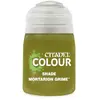 Citadel   Paint   Shade Mortarion   24-32