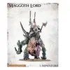 Games Workshop Age of Sigmar Nurgle Rotbringers: Bloab Rotspawned/Mordibex Twiceborn/Orghotts Daemonspew