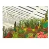 Gibsons Brutalist Conservatory G3603