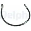 Delphi Remslang