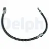 Delphi Remslang