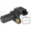 Delphi Krukassensor