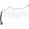 Delphi Remslang