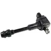 Delphi GN10219-12B1 Bobine d'allumage