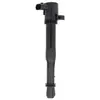 Delphi Bobine