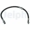 Delphi Remslang