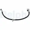 Delphi Remslang