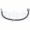 Delphi Remslang