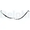 Delphi Remslang