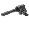 Delphi Bobine