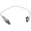 DELPHI Sonde d'agneau ES21071-12B1