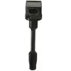 Delphi Technologies GN10960-12B1 Bobine D'Allumage