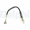 Delphi Remslang