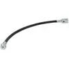 Remslang LH6068 Delphi