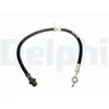 Delphi Remslang