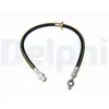 Delphi Remslang