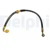 Delphi Remslang