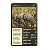 Cheatwell Plop Trumps Card Game (Version Anglaise)