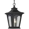 QUOIZEL Lampe suspendue Bedford 1XE27 h: 31.4 ø: 17.8 IP44