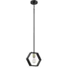 Quoizel LED Pendelarmatuur Bismarck | 1X E27 Max 60W | Dimbaar | Earth Black