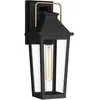 Quoizel LED Wand Buitenlamp Buckley | 1X E27 Max 40W | Matt Black & Br...