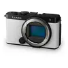 Panasonic Appareil Photo Compact Lumix Dc-s9
