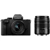 Panasonic Lumix G100D + 12-32 mm f/3.5-5.6 + 45-150 mm f/4-5.6