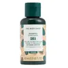 Shea champú 60 ml