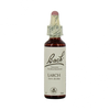 FLEURS DE BACH Larch (20 ml)
