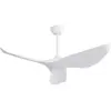 EIFSON Ventilateur de Plafond 96,5 cm, avec 3 Pales ABS, 6 Vitesses, M...