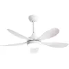 EIFSON Ventilateur de plafond de 106cm, avec 5 pales de ventilateur en...