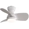 EIFSON Ventilateur de plafond 58 cm, avec 3 pales en ABS, lumière LED ...